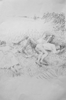la sosta