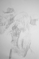 sul monopattino